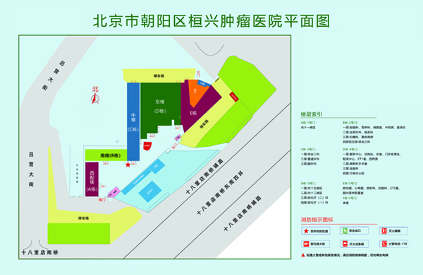 大黑屌操大黑屄北京市朝阳区桓兴肿瘤医院平面图